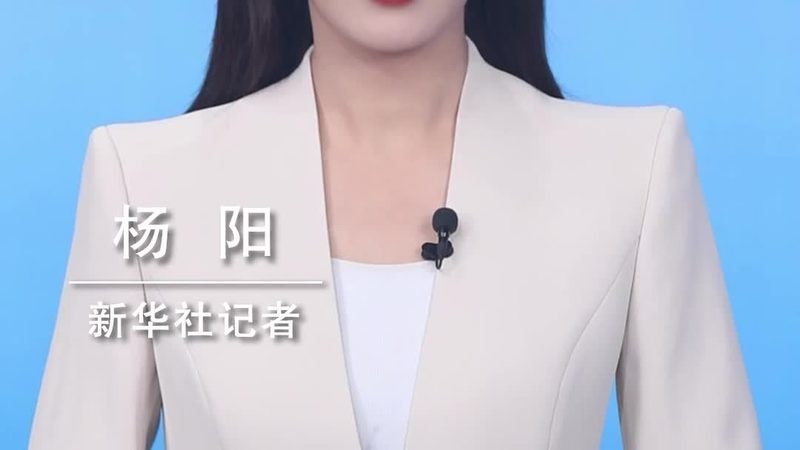 科技服务公司规模排名：揭秘行业背后的真实力量